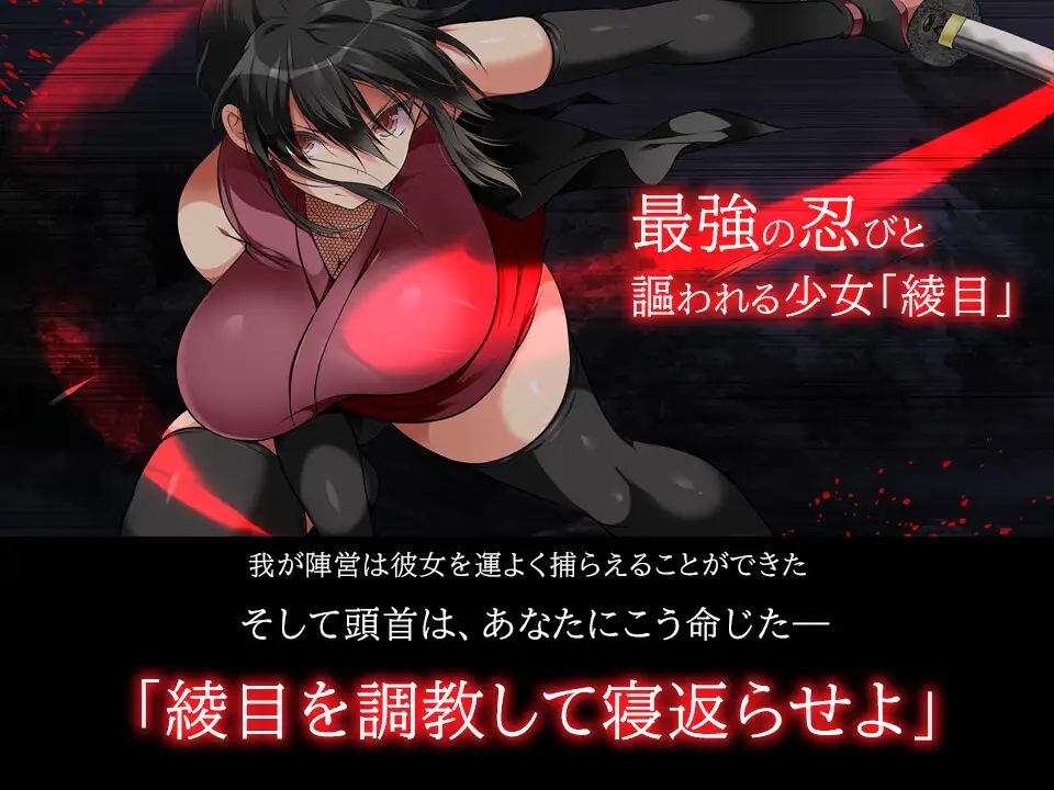 步兵版[日式SLG/动态] 忍堕－女忍调教 STEAM官方中文版 全CV [11.30G]