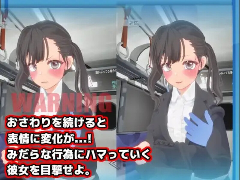 DL11月新作【互动SLG/3D作品/全动态】触摸地铁，摇摇晃晃（おさわりメトロでトロットロ）V1.0 原版生肉【600MB】