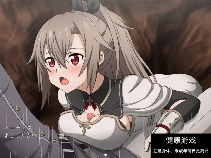【动作ARPG后宫PC】18禁刀剑神域 交错之深渊 DL官方中文