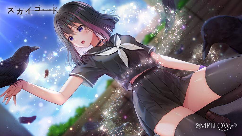 【PC汉化】スカイコード