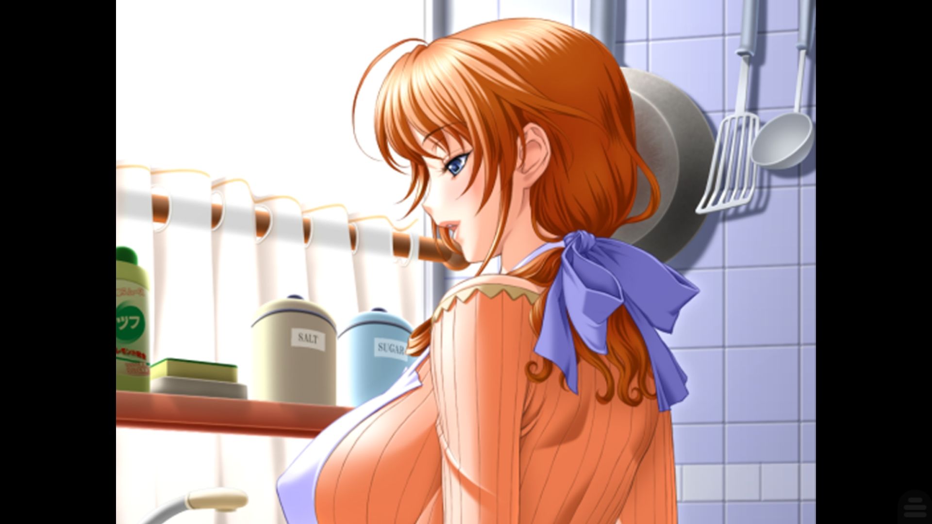 [拔作ADV 汉化动态CG  CV语音 PC 安卓KRKR]银母公寓！云汉化版【新汉化 PC +安卓KRKR】