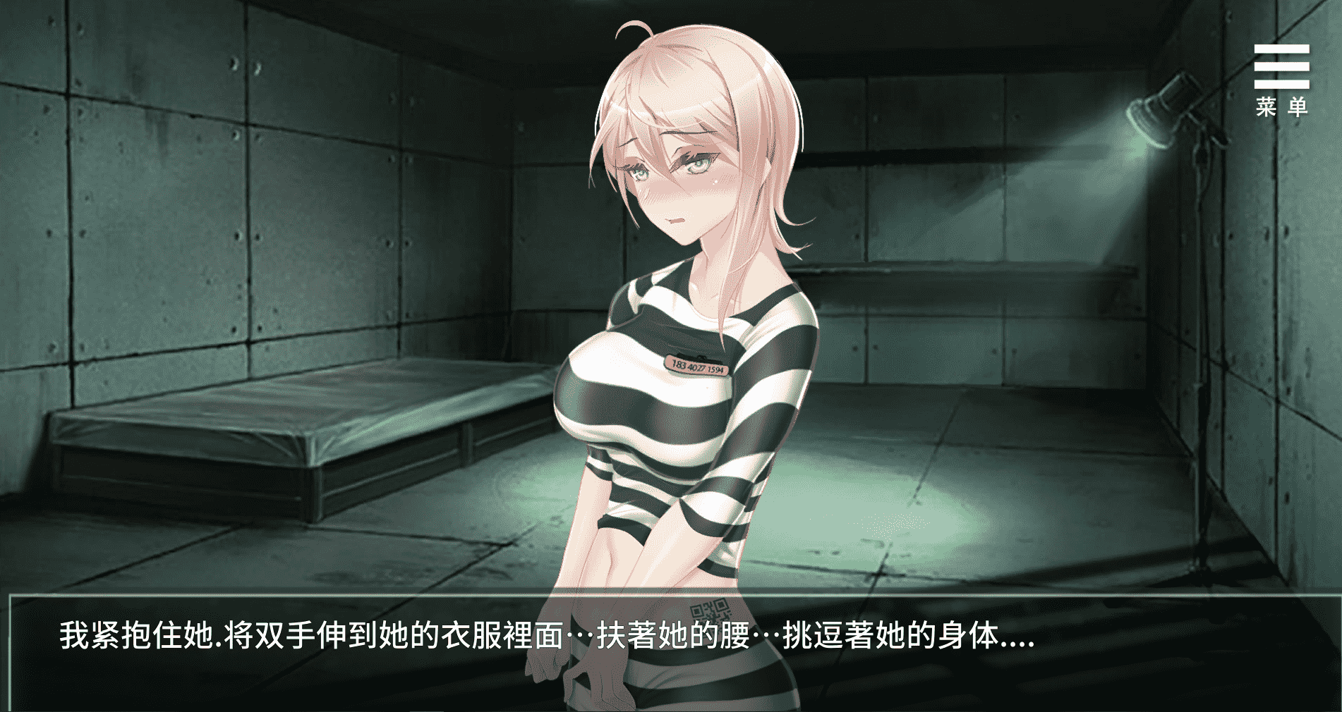 【互动SLG中文】我在女子监狱开后宫 官方中文步兵版+全回想【新作PC+安卓800M】