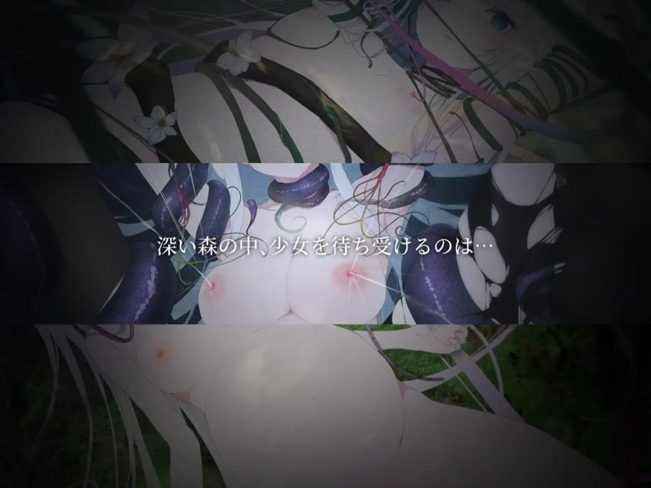 【ACT官中】悲剧之森v1.6.3.1【更新动态魔女怀孕触手贫乳PC】