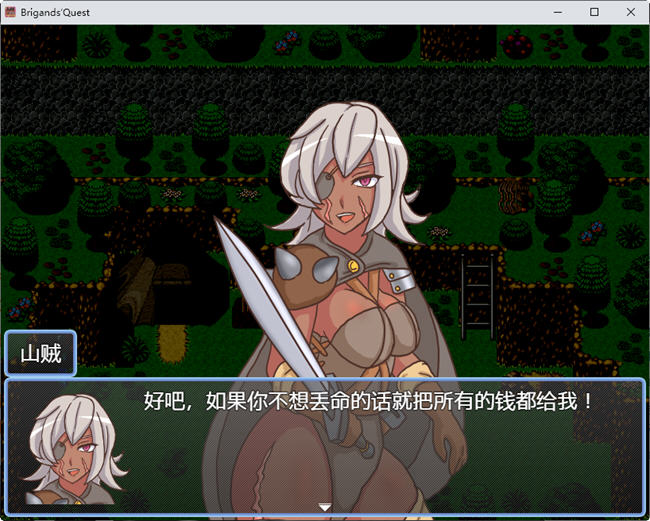 山贼(Brigands Quest) ver1.02 汉化版 日系RPG游戏 900M