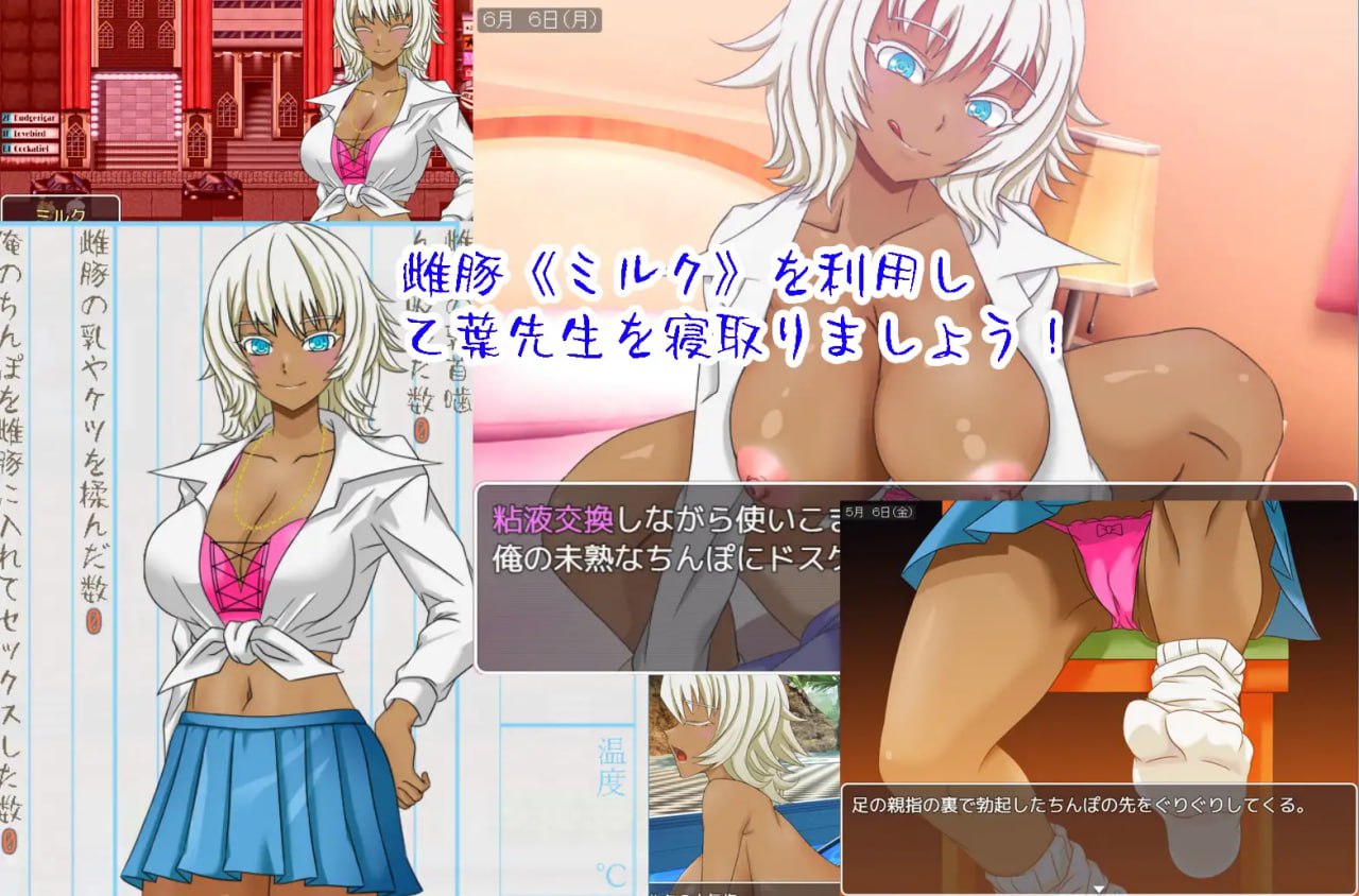 【2D生肉】乙葉のネトラレ日記【RPGNTR调教耻辱电脑】