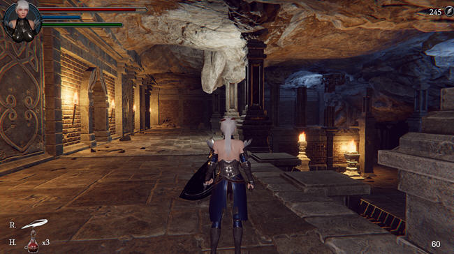 地下城的女骑士 DL官方中文解码版 3D动作冒险游戏 1.9G