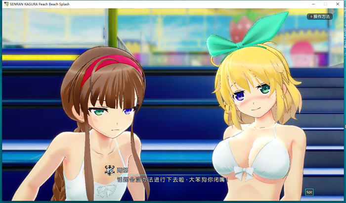 闪乱神乐沙滩戏水 ver1.08 官方中文版+全DLC魔改 动作射击游戏 10G