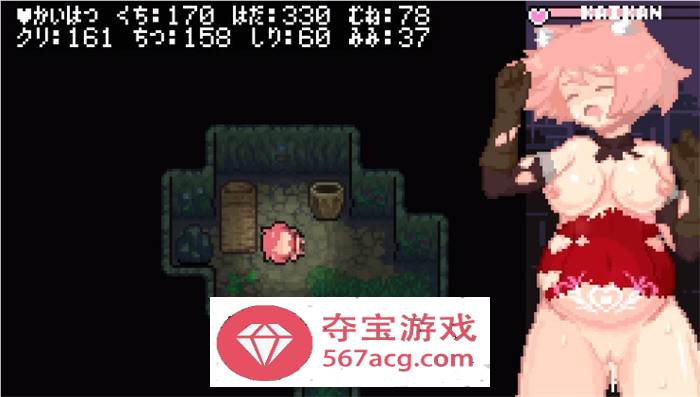 【像素ACT中文全动态】涩尔达传说~Erozld V1.2.5 STEAM官方中文版【新作250M】