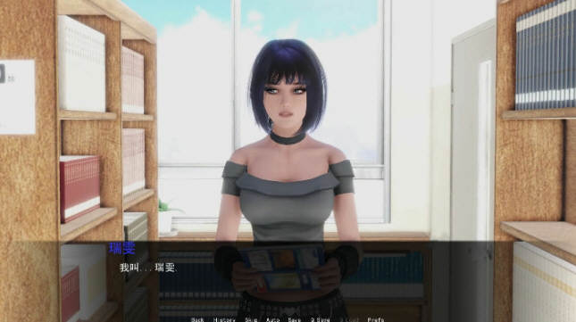 调教大师 Ver0.51 汉化版[新增女主模式] PC+安卓 SLG游戏 4.3G