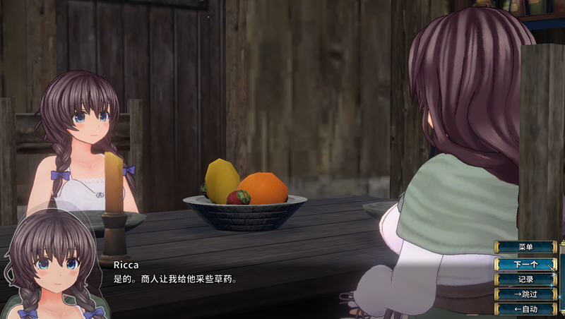 圣骑士莉卡物语：白翼与银翼的姐妹 Ver1.14 精翻汉化版+全CG存档 RPG游戏