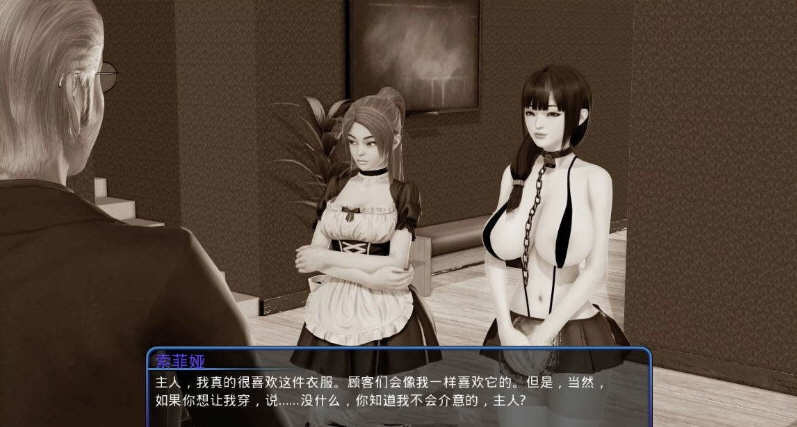 后宫大酒店 Ver1.4.1 精翻汉化版 PC+安卓+CG SLG游戏 4.2G