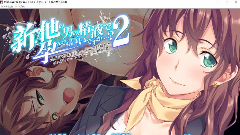 这样造宝宝真的合适嘛？ 1-3部 云翻汉化版 绿帽ADV游戏