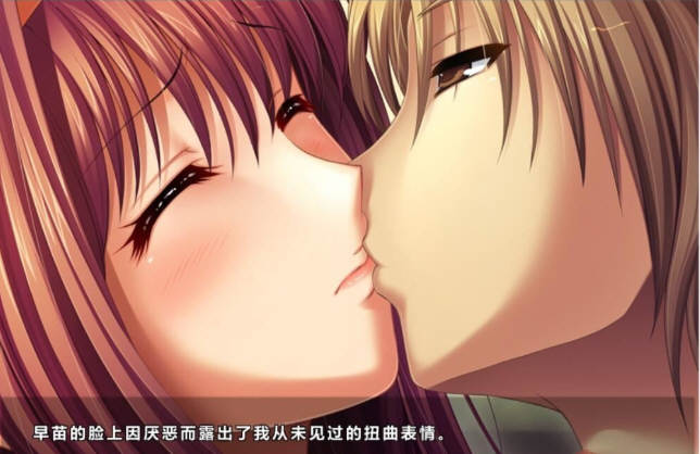 爱妻日记：完美人妻与不举夫 精翻汉化版+动画 拔作SLG