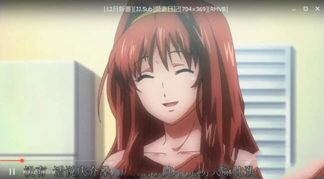爱妻日记：完美人妻与不举夫 精翻汉化版+动画 拔作SLG