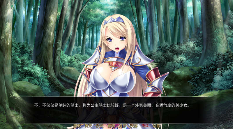 异世界：银乱后宫物语 官方中文版 拔作ADV+全CG存档+全CV