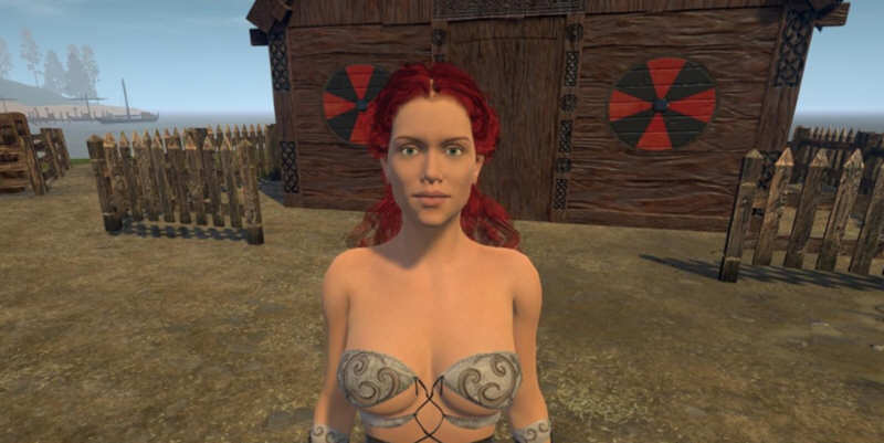 维京人的女儿 V2.4 精翻汉化版 大型3D游戏+绅士版巫师3 4G