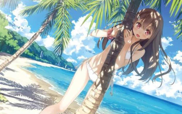 夏汁100% V2 精翻完整汉化版+存档 ADV大作 6.5G
