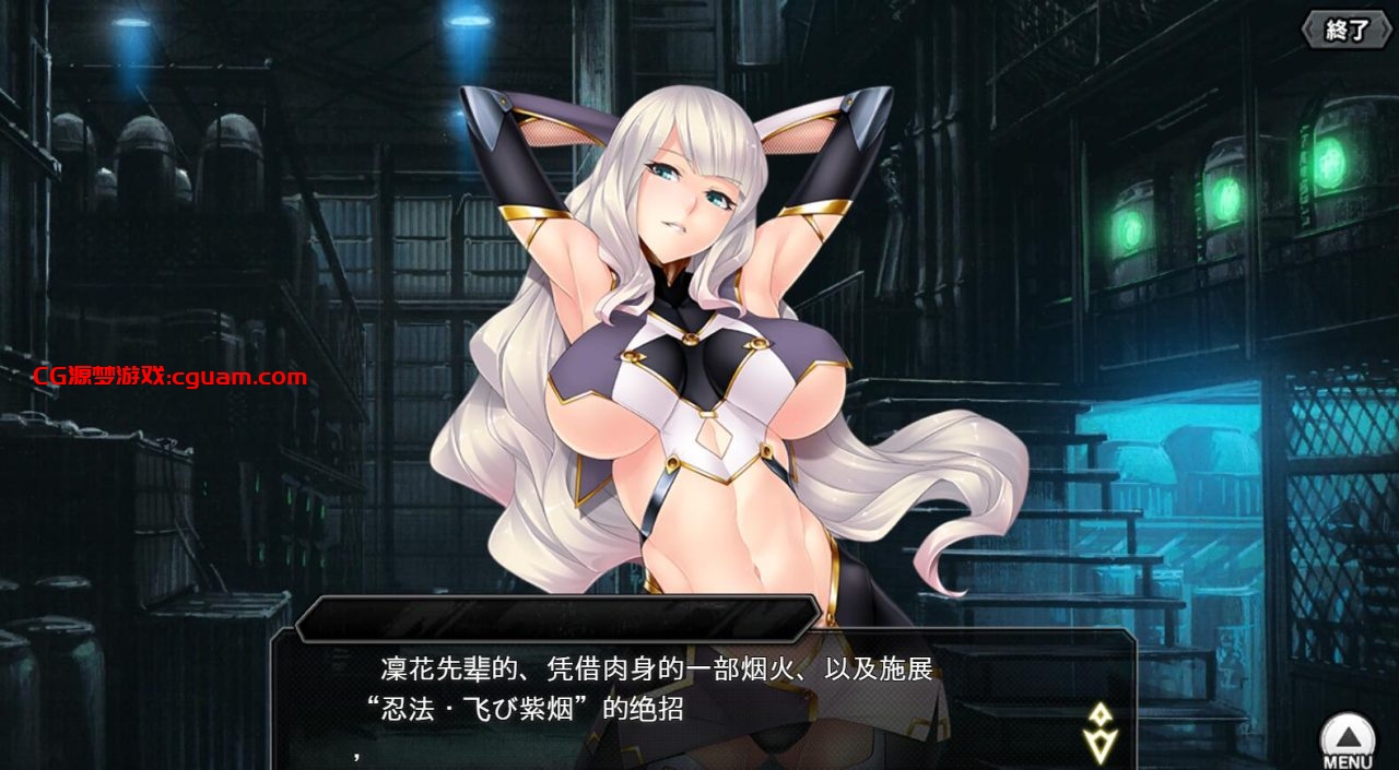 破解版[亚洲风养成HTLM/动态] 对魔忍Taimanin RPGX v2025.05 全绅士整合版 浏览器转中文 [25.70G]