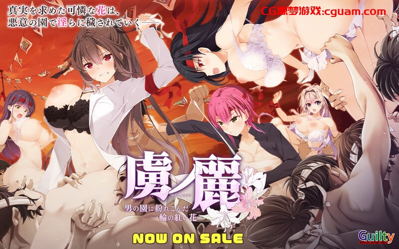 【拔作ADV/爆乳巨乳/动态2C】虜ノ麗 ～男の園に紛れこんだ一輪の紅い花～ V1.0 AI汉化+全CG存档【3.7G】