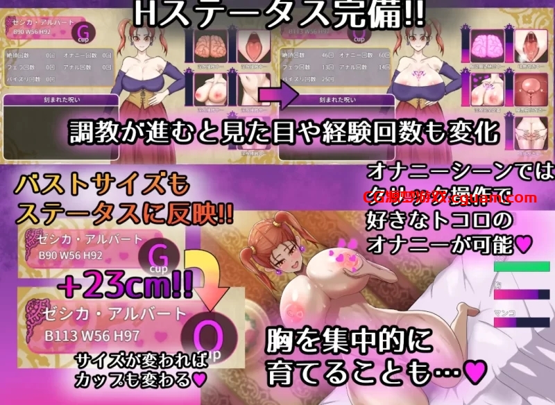 [RPG/PC/AI汉化]诅咒装备店 PC+安卓[2+2.6g]