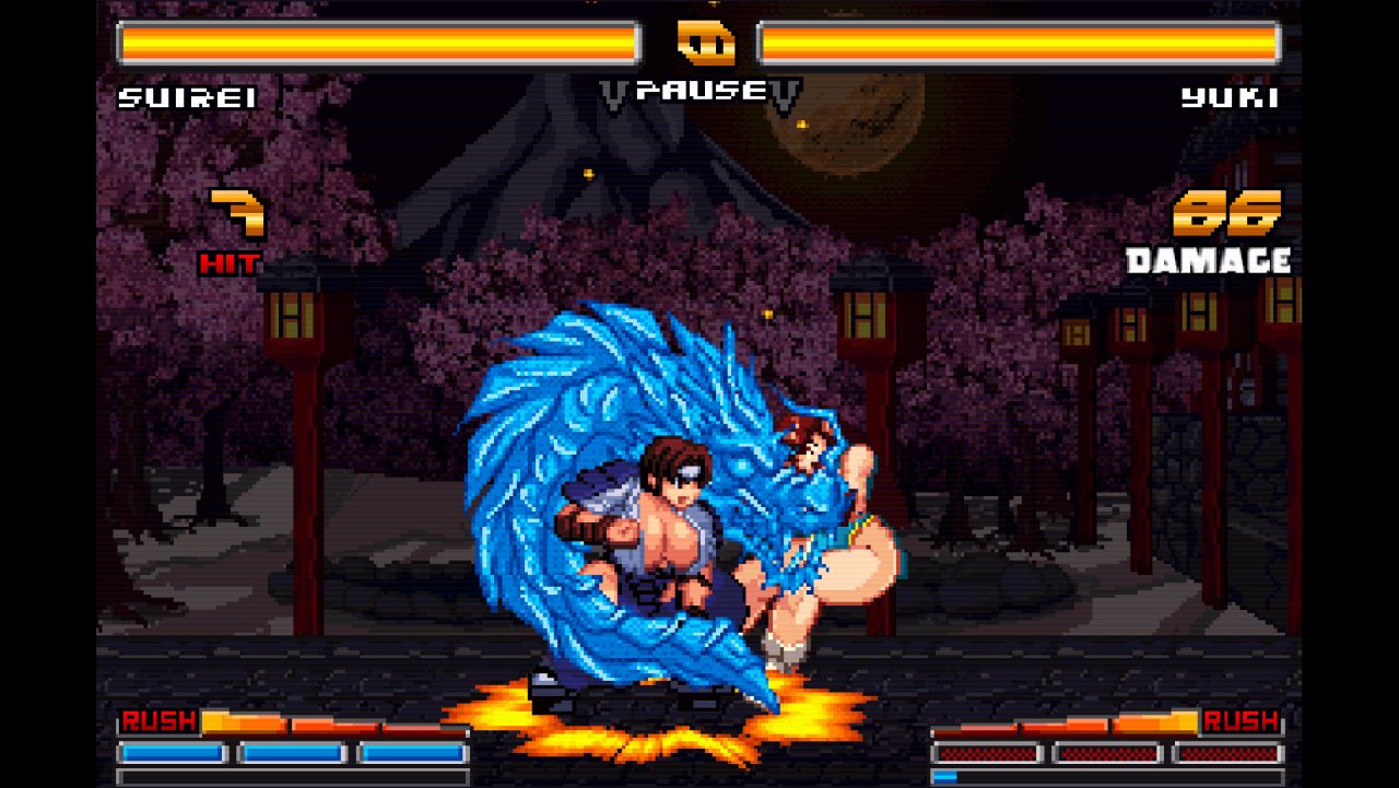 【格斗FTG/动态/官中】爆衣战士零（Strip Fighter ZERO）V1.02.00-(STEAM官中+DLC)【300MB】