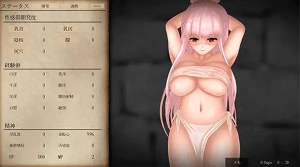 【调教触摸SLG/官中/全动态】淫狱の圣奴隶 V1.03 官方中文[PC]
