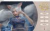 神话传记 Fairy Biography 官中步兵作弊版+DLC★中文CV[9月更新/3G]