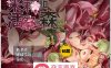 【逃脱RPG中文异种】米莉与活祭之森林 官方中文完整版+全回想【PC+安卓1G】