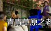 青青草原之老王 Ver1.3 官方中文版 PC+安卓 国产RPG游戏 5.3G