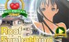 Flash 小游戏100 IN 1 全是英文限制版 附带FLASH播放器