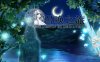 召唤之旅 Ver1.2 公开汉化版 大帝国最新汉化RPG游戏 1.6G