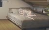 【电脑+安卓】同居互动SLG游戏《和存在感薄弱妹妹一起的简单生活》v0.99.6官方中文版，含动态内容，大小4.5G